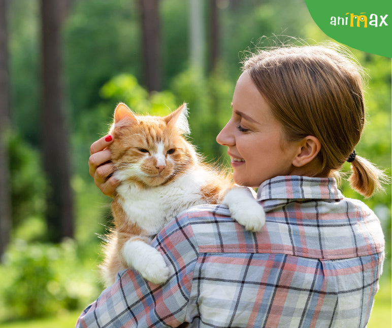 Modalitati de a-ti face pisica mai fericita